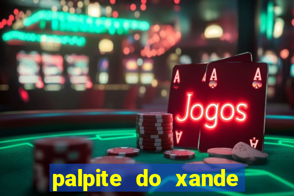 palpite do xande de hoje