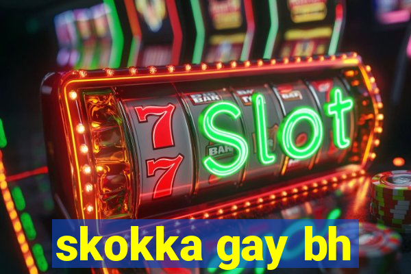 skokka gay bh