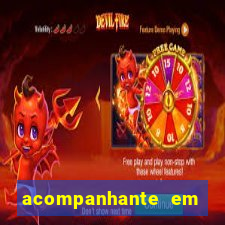 acompanhante em nova mutum