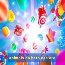 animais do beto carrero