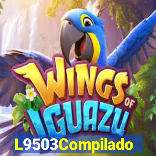 L9503Compilado