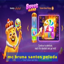 mc bruna santos pelada