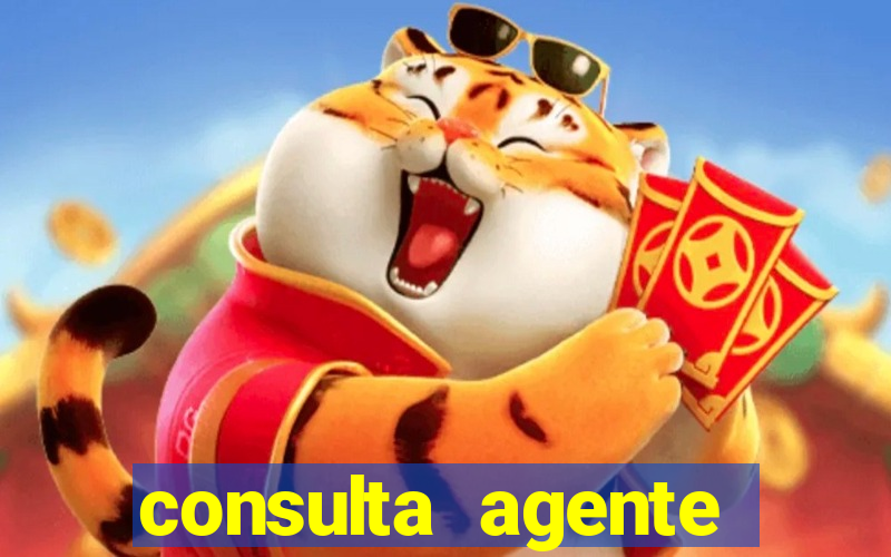 consulta agente autuador sp