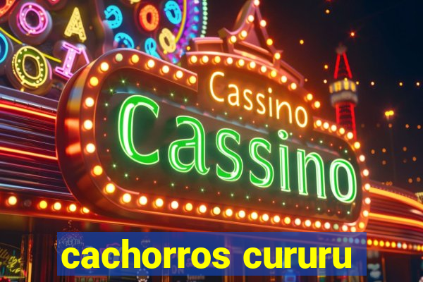 cachorros cururu