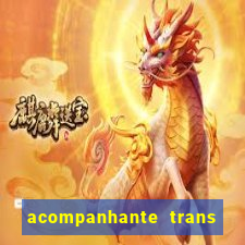 acompanhante trans de santos