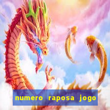 numero raposa jogo do bicho