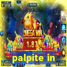 palpite in